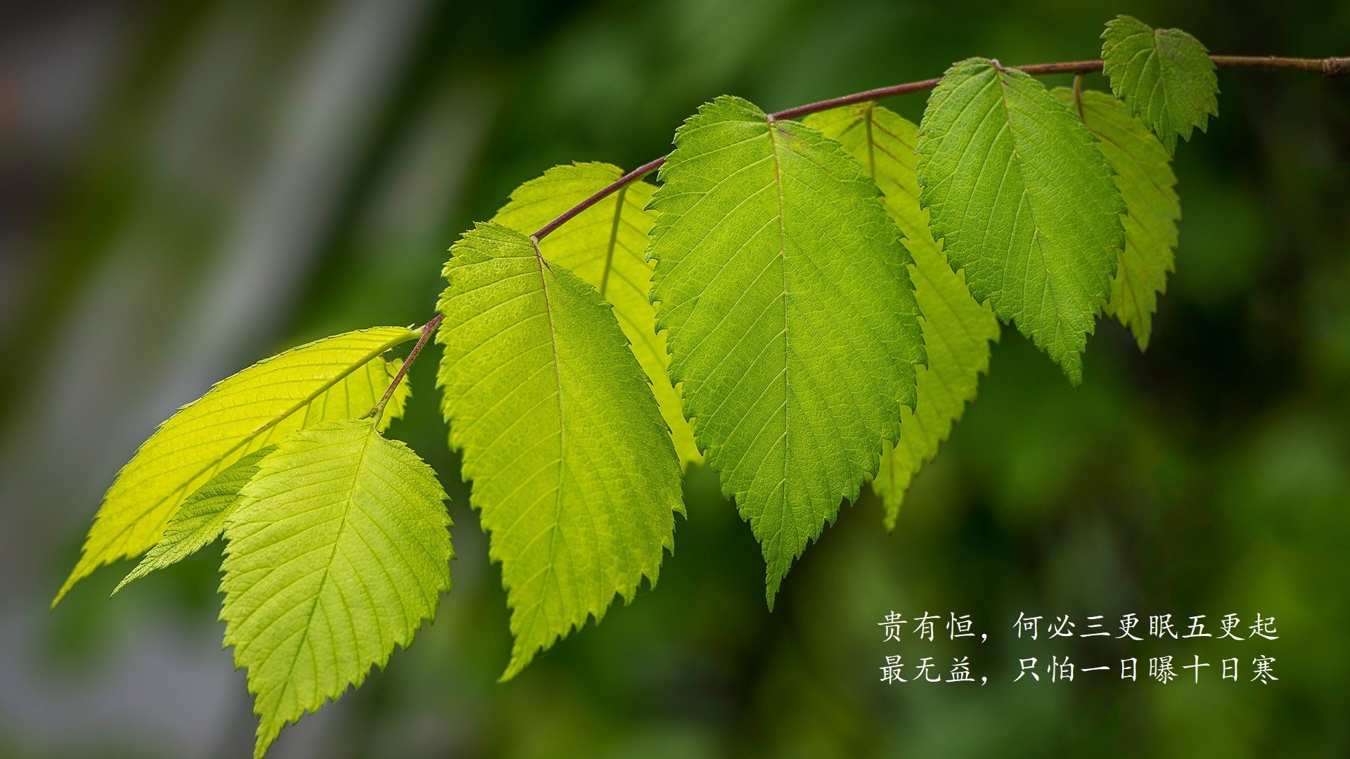 【球桌保养】专业人士教你延长台球桌使用寿命，台球桌的保养方法