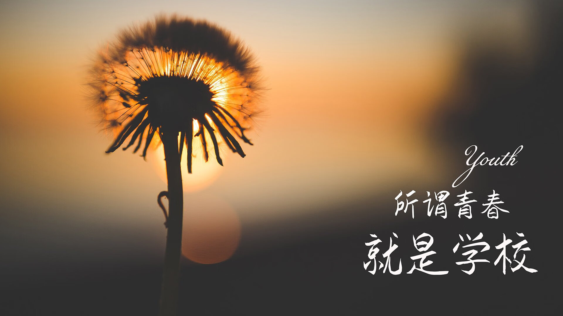 争夺欧战席位：积分榜上的激烈角逐，最新欧战席位分配规则