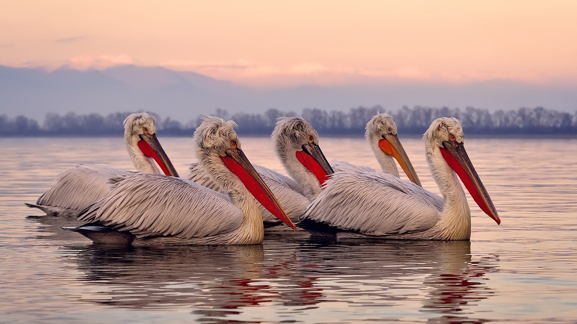 冠军选手冲刺阶段划频分析,冲击冠军走向巅峰