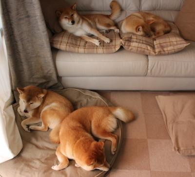 边锋射门决策是否比传球选择更影响比赛走势,边锋hr