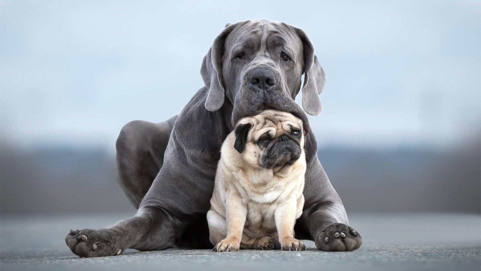 CBA推动主客场文旅融合激发区域经济活力,cba主客场怎么区分