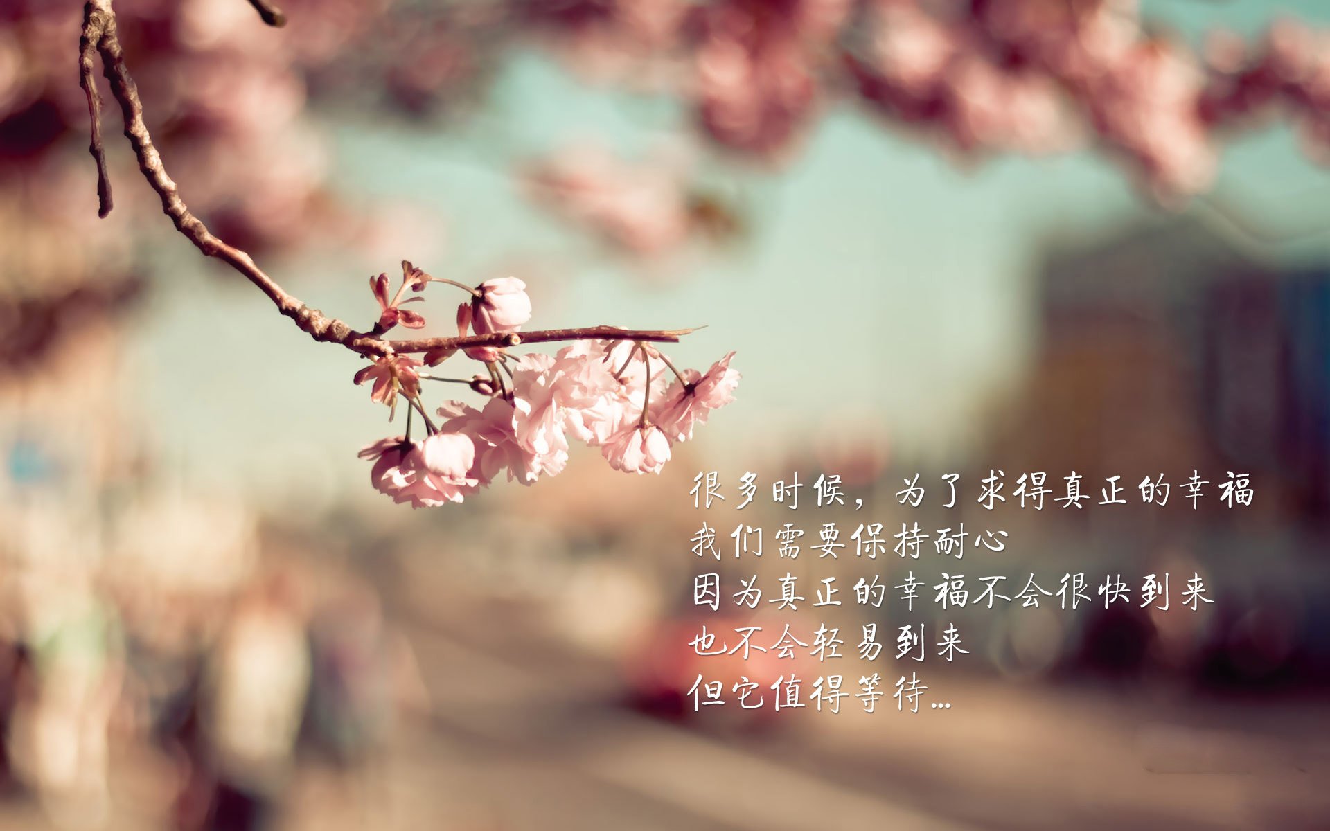 中国篮球推动青少年比赛规则标准统一促进公平竞争,篮球青少年联赛