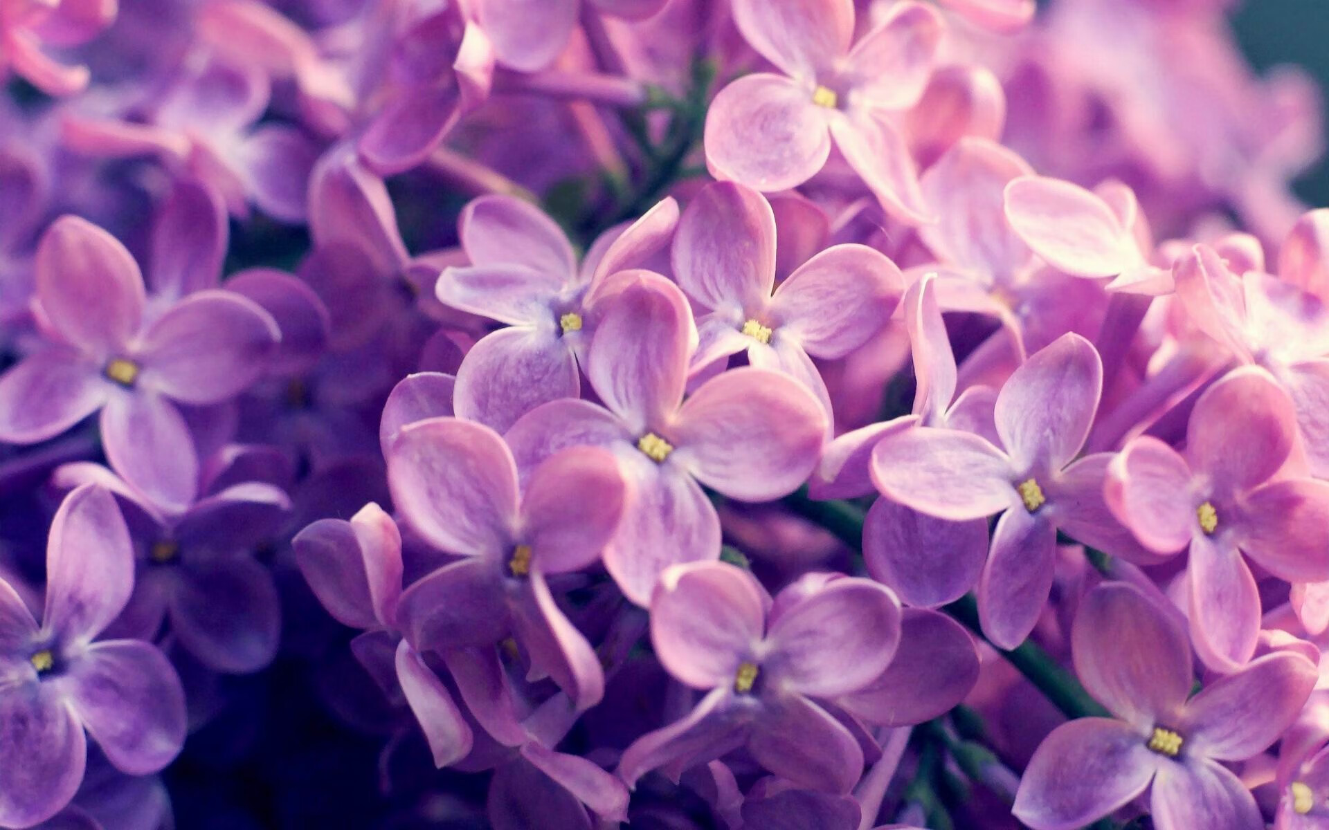 主帅战术部署细致入微强调沟通配合重于单打独斗