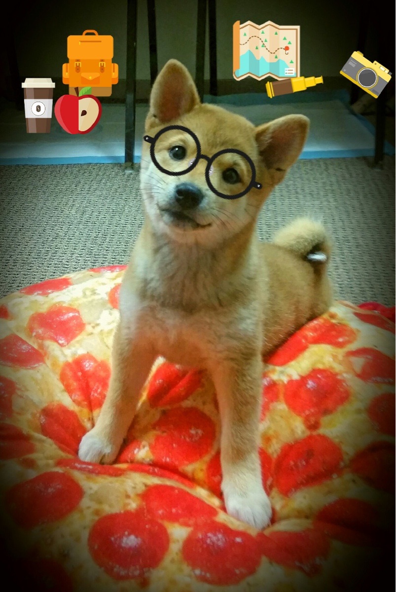 kaiyun网站-女子足球发展计划发布支持俱乐部青训体系建设，女子足球训练基地