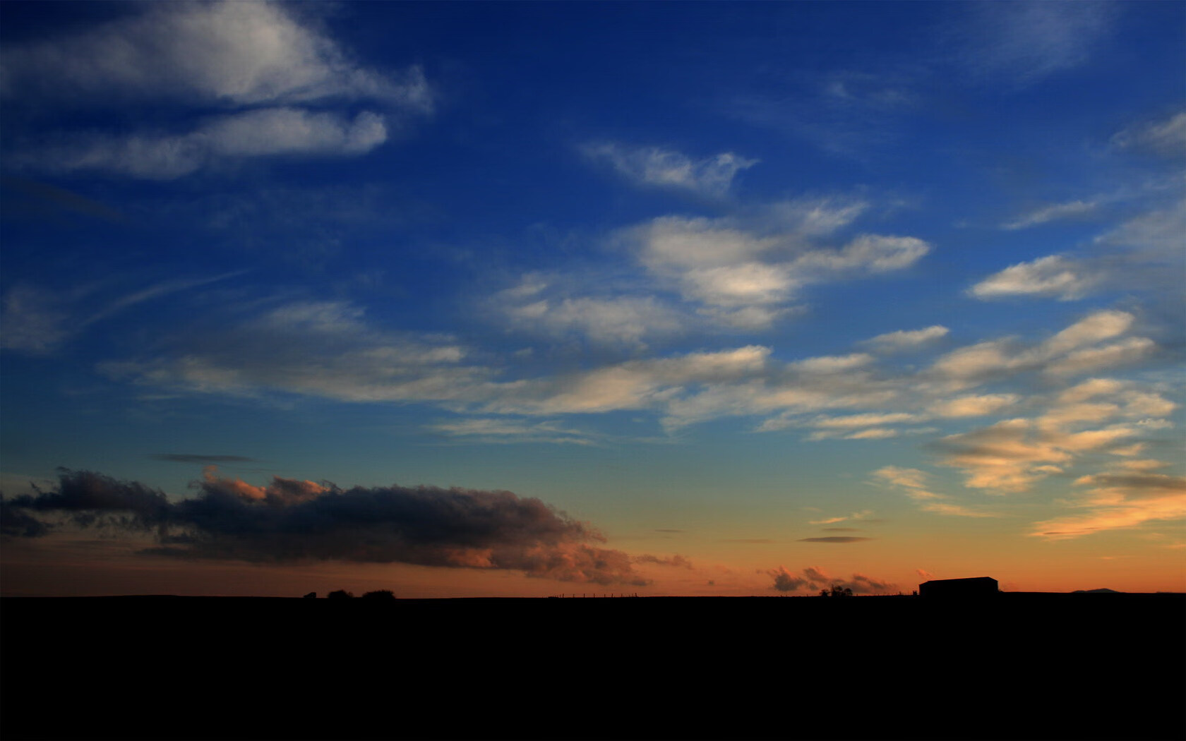 日本队在亚洲杯表现优异,誓夺冠军