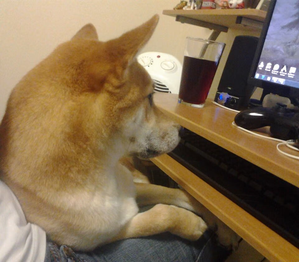 比赛裁判判罚引发争议,比赛裁判判罚引发争议怎么处理