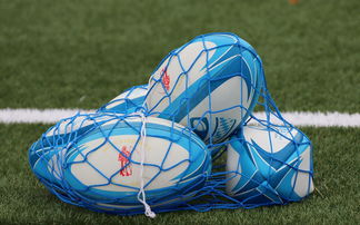 开云官网首页-法国橄榄球赛事的票房和赞助收入创历史新高，法国橄榄球国家队