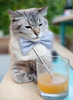 球队与教育机构合作,运动员学业保障成例行项目,学校与体育俱乐部合作