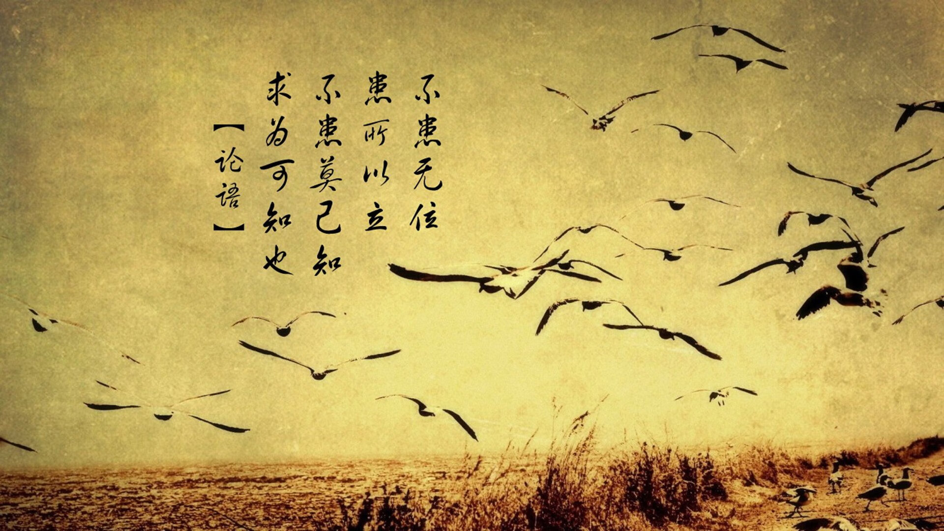 开云体育视频直播-电竞青少年选拔赛火热进行中，青年电子竞技大赛