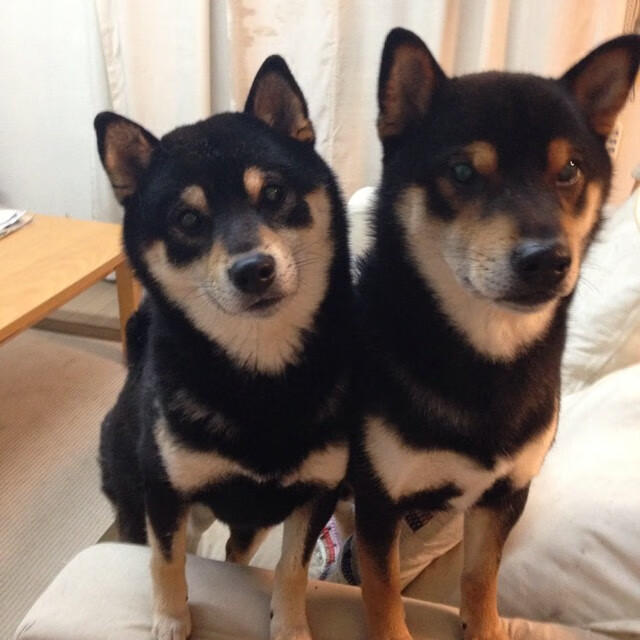 开云网站-美洲杯激情交锋：青春与拼搏的完美体现，美洲杯精彩