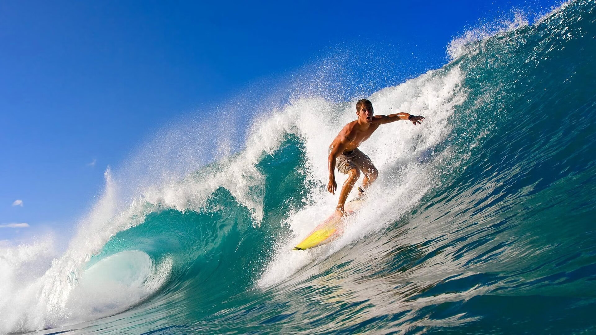 球场“铁血防线”：最难攻破的防守阵容盘点，铁血防守vs极致进攻